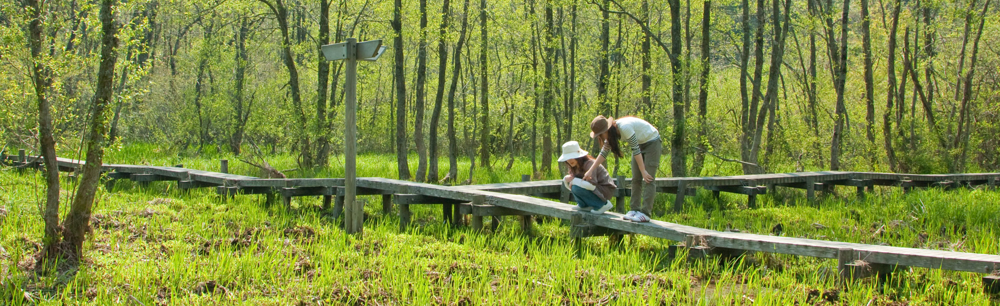 つるがの支援制度
