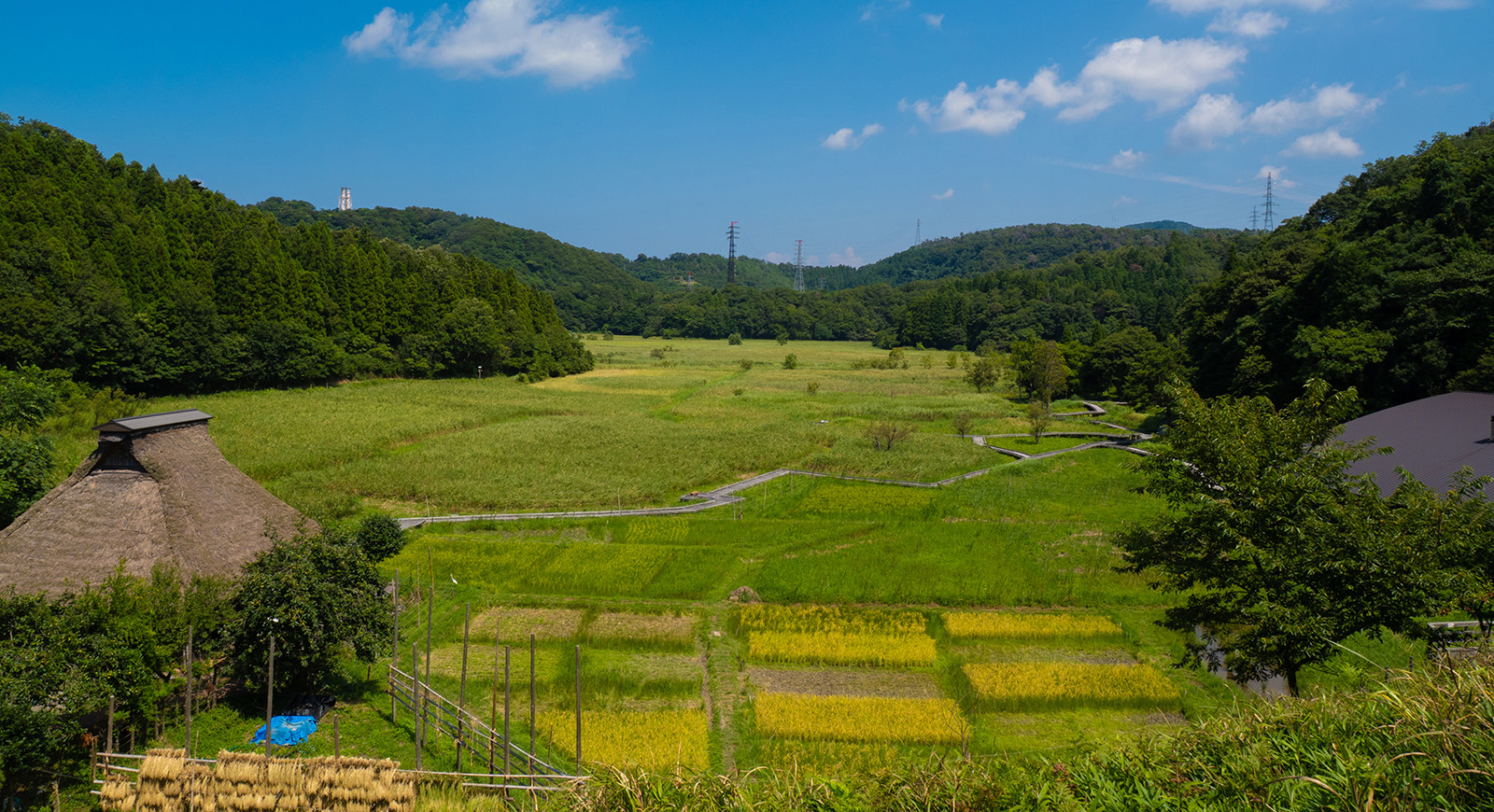 つるがの支援制度