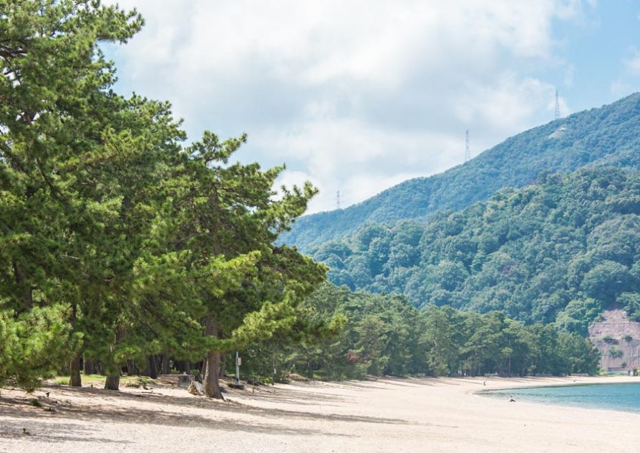 画像:気比の松原